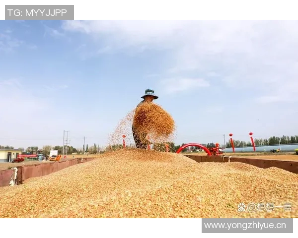 五谷丰收：探寻农作物生长之道